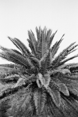 Itinerance Mediterannee