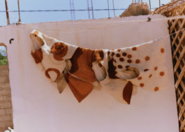 Itinerance Mediterannee