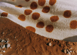 Itinerance Mediterannee