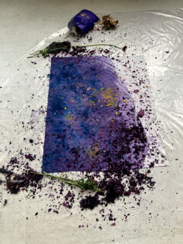 Itinerance Mediterannee