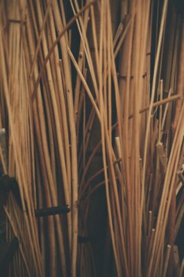 Itinerance Mediterannee