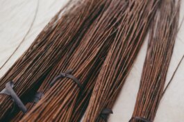 Itinerance Mediterannee