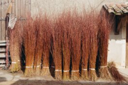 Itinerance Mediterannee