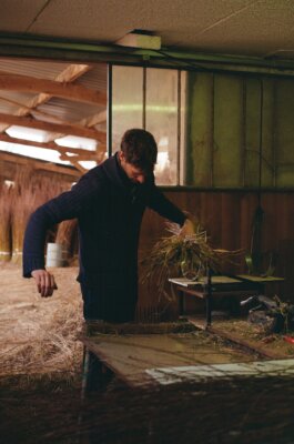 Itinerance Mediterannee