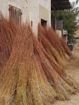  Itinerance Mediterannee