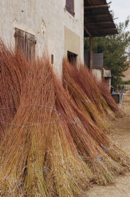 Itinerance Mediterannee