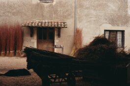 Itinerance Mediterannee