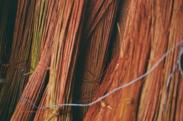 Itinerance Mediterannee