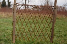 Itinerance Mediterannee