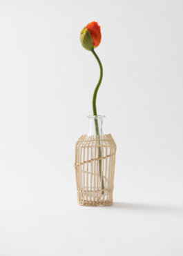 Itinerance Mediterannee