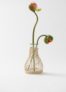 Itinerance Mediterannee