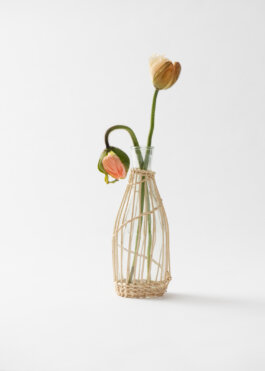 Itinerance Mediterannee