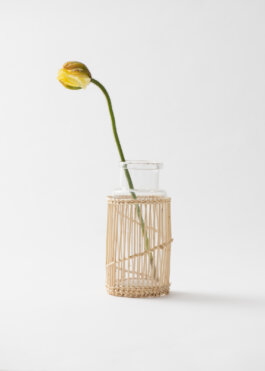 Itinerance Mediterannee