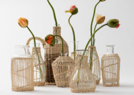 Itinerance Mediterannee