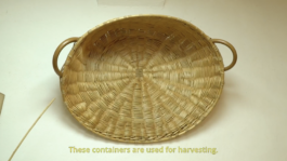 Itinerance Mediterannee