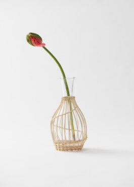 Itinerance Mediterannee