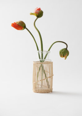 Itinerance Mediterannee