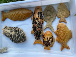 Itinerance Mediterannee