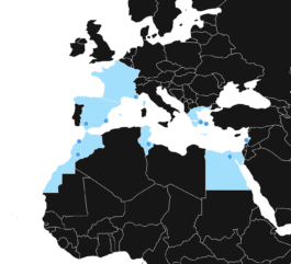Itinerance Mediterannee